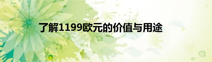 19.9欧元（1199欧元为多少人民币）