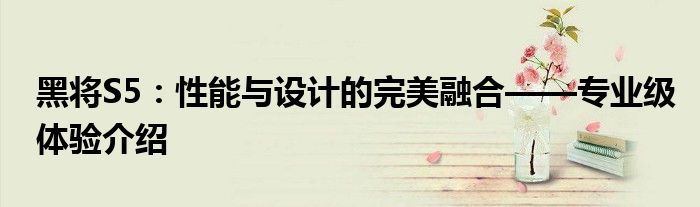 黑将s5比t系列差在哪（黑将s5为啥2018年停产了）