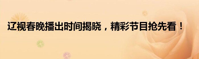 辽视春晚播出时间（2022辽视少儿春晚播出时间）