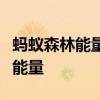 蚂蚁森林能量保护罩：神秘道具助你守护绿色能量