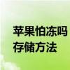 苹果怕冻吗？——探讨低温对苹果的影响及存储方法