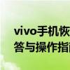 vivo手机恢复出厂设置密码是多少？详细解答与操作指南