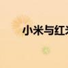 小米与红米：揭秘两者的差异与特点