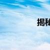 揭秘