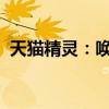 天猫精灵：唤醒词自定义，智能生活新体验
