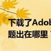 下载了Adobe Flash Player却无法使用，问题出在哪里？