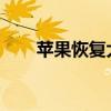 苹果恢复大师注册码获取及使用方法