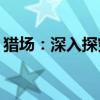 猎场：深入探究其独特魅力，是否值得一看？