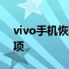vivo手机恢复出厂密码的详细步骤与注意事项
