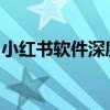 小红书软件深度解析：功能、特点与用户群体