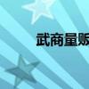 武商量贩系统登录页面及操作指南