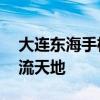 大连东海手机维修论坛——您的手机维修交流天地