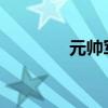 元帅军衔：荣耀与责任并存