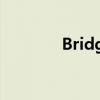 Bridge软件介绍与功能解析