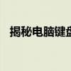 揭秘电脑键盘中的