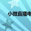 小微直播电脑版：功能解析与使用指南
