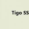 Tigo SSD 240GB价格及性能分析