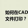 如何在CAD软件中快速使用打印快捷键进行文件打印？