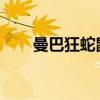 曼巴狂蛇鼠标宏设置详细教程与指南