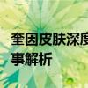 奎因皮肤深度鉴赏：全新外观、特效与背景故事解析