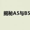 揭秘A5与B5：未知的联系与应用领域探索
