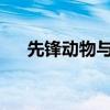 先锋动物与人：共存、互动与生态共生