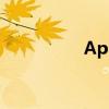 Appie ID密码找回指南