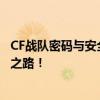 CF战队密码与安全问题全遗忘？轻松操作指南助你找回重置之路！