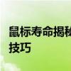 鼠标寿命揭秘：如何延长鼠标使用寿命与保养技巧
