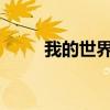 我的世界服务器IP地址及游戏指南