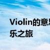 Violin的意思是什么？——探讨小提琴的音乐之旅