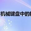 机械键盘中的静音之选：探寻最小声音的轴体