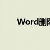 Word删除节的详细步骤和注意事项