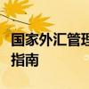 国家外汇管理局平台登录密码重置与安全管理指南