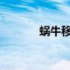 蜗牛移动：慢节奏的生存智慧