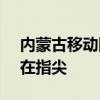 内蒙古移动网上营业厅官网 - 便捷服务，尽在指尖