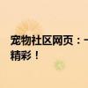 宠物社区网页：一站式宠物服务平台，让您的宠物生活更加精彩！