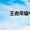 王者荣耀中英勇无畏的赵云形象展示