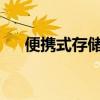 便携式存储设备的深度解析与应用探讨