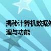 揭秘计算机数据处理的心脏：中央处理器（CPU）的工作原理与功能