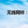 无线网桥：无线通信技术中的关键桥梁