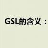 GSL的含义：从专业术语到广泛应用的探索