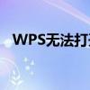 WPS无法打开文件：原因解析与解决方案