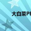 大白菜PE U盘制作与密码重置教程