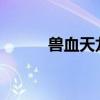 兽血天龙游戏登陆器下载全攻略