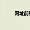 网址前红叉锁标识问题解决指南