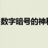 数字暗号的神秘世界：揭秘背后的秘密与真相