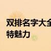 双排名字大全：精选组合，为您的名字增添独特魅力