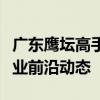 广东鹰坛高手论坛：聚焦技巧与策略，引领行业前沿动态