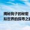 揭秘狗子的秘密：二狗子的迷你号究竟是多少？一场关于虚拟世界的探寻之旅！